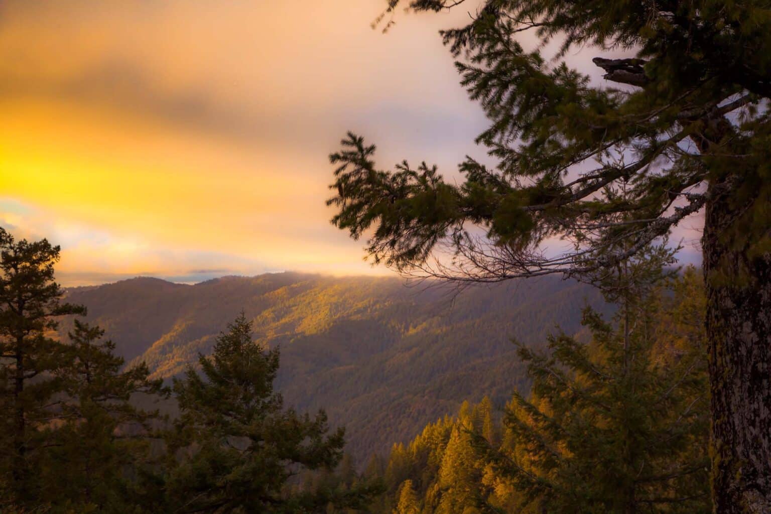 Hoopa Valley: Where Redwood Giants Meet Native Spirit